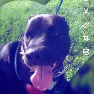 Meet your Posher, Kylie